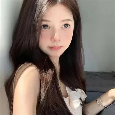 来自收容所的爱